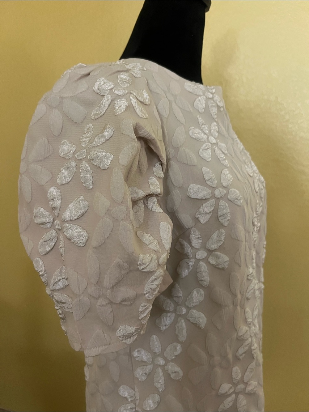 hazel Blush Lace Appliqué Top